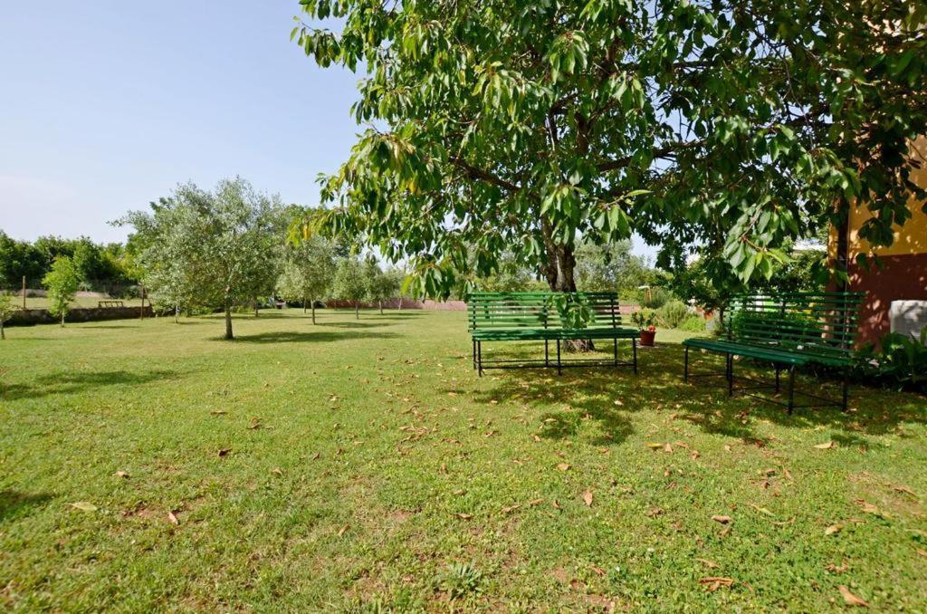 Apartment Karolina - Green Oasis PUY 외부 사진